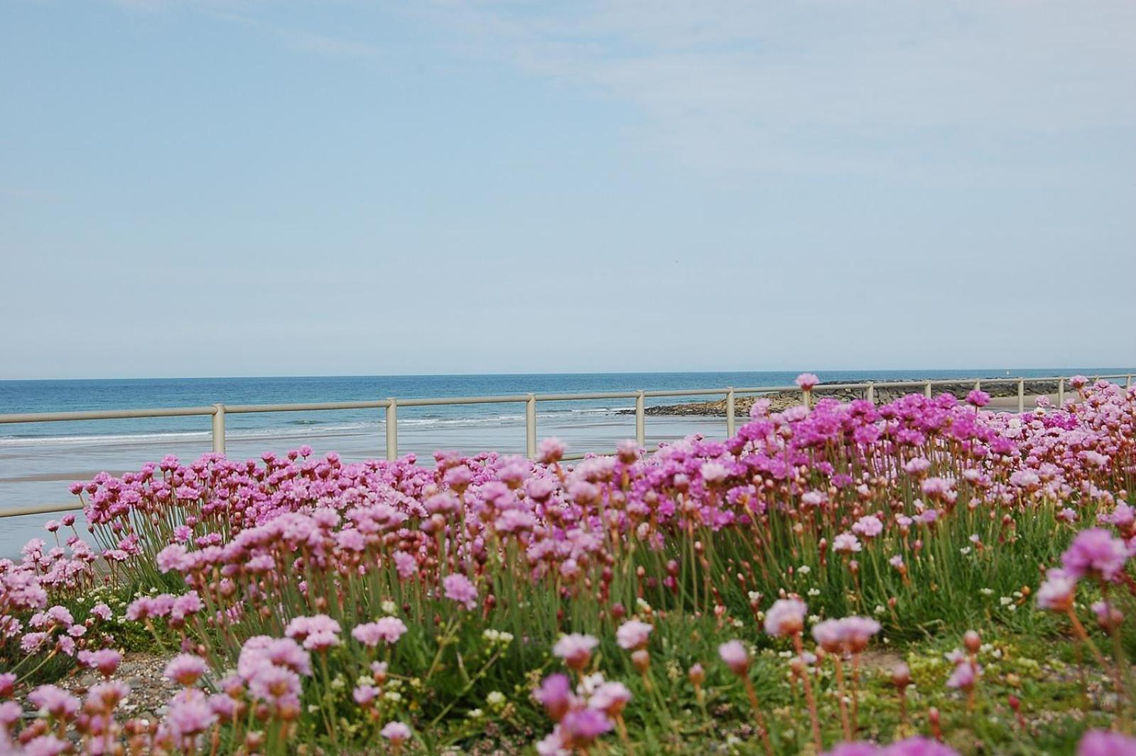 Salt Marsh Apartment تيوين المظهر الخارجي الصورة